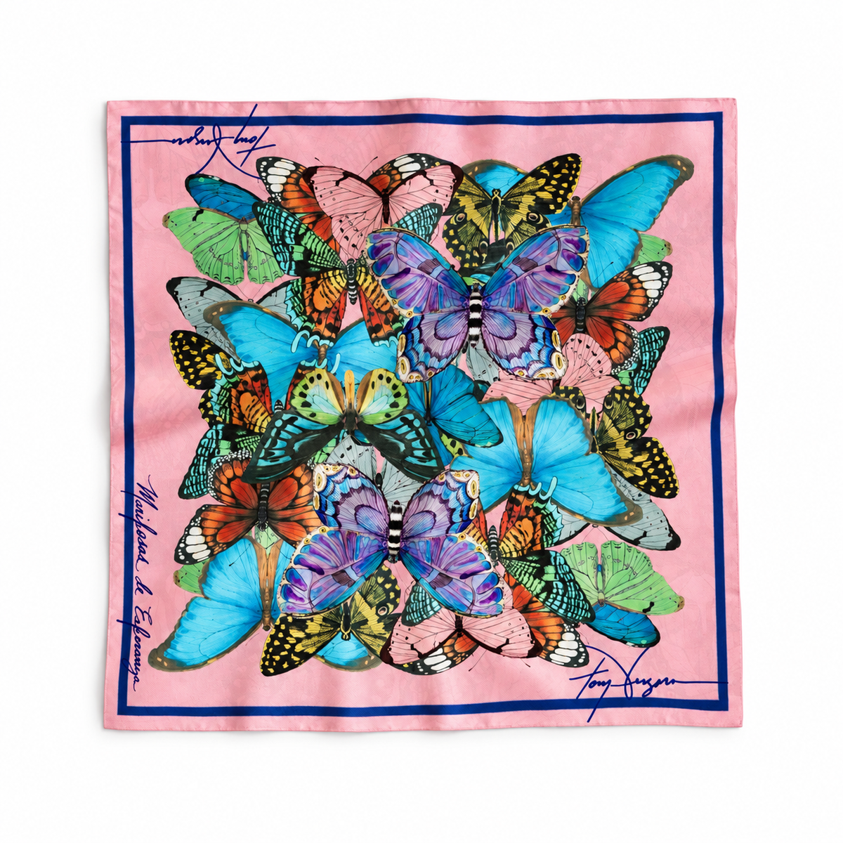 Mariposas de Esperanza silk scarf by Tony Vergara, butterflies on pink with blue border