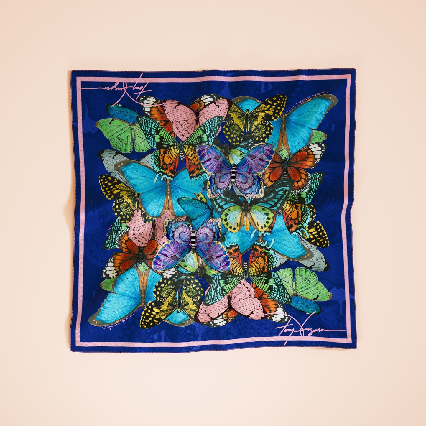 Danza de las mariposas