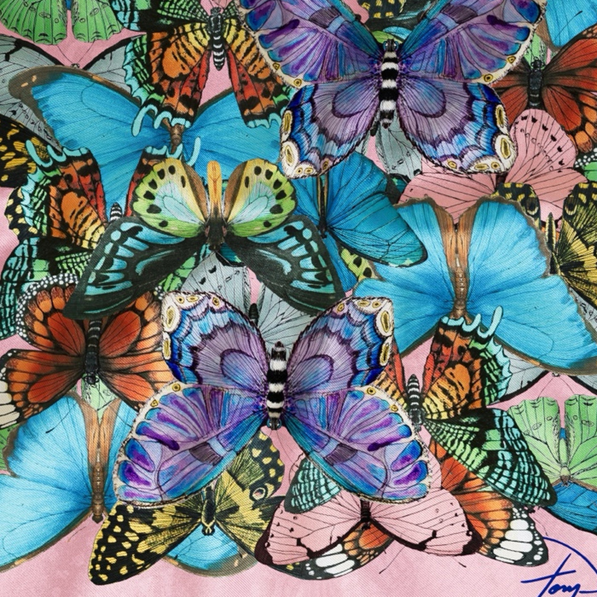 Close-up of the hand-drawn butterflies, Mariposas de Esperanza by Tony Vergara