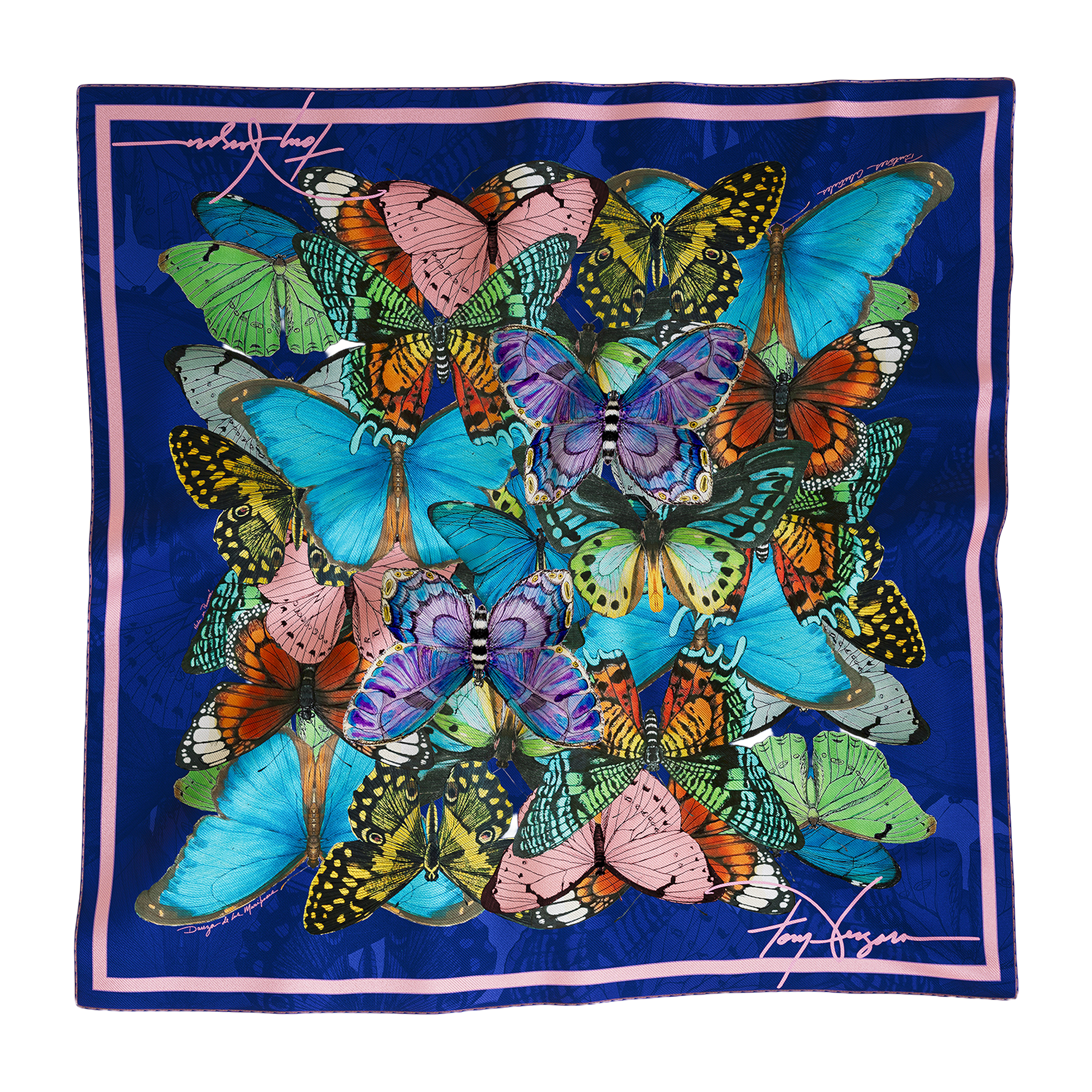 Caja Grande de Pañuelos XL – Edición Coleccionista